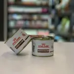 Royal Canin Gastrointestinal For Kitten